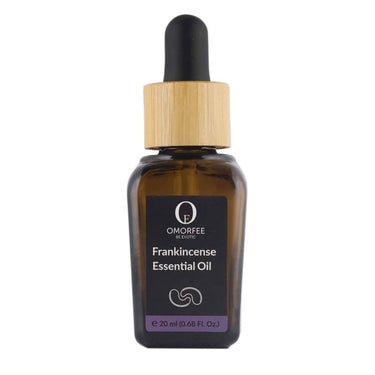 https://cdn.shopify.com/s/files/1/1857/6931/products/3JcWU4URcX.jpg?v=1640949778